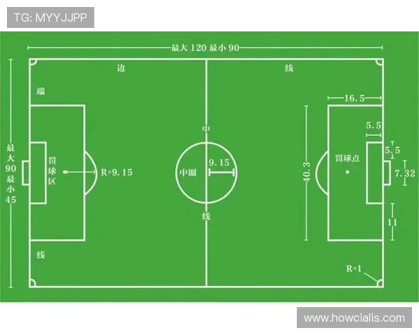 PP体育平台内容丰富度分析：涵盖足球篮球等多项热门体育项目的优势