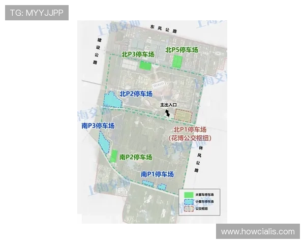 九博国际用户评价与口碑分析助你选择最值得信赖的游戏平台