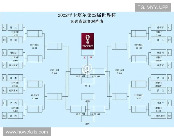 买球站下球网世界杯赛前赛后数据分析与投注建议帮助用户赢得更多利润